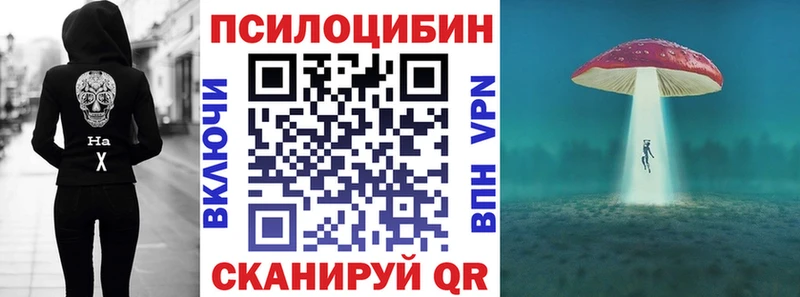 OMG как зайти  Александровск  Псилоцибиновые грибы GOLDEN TEACHER 